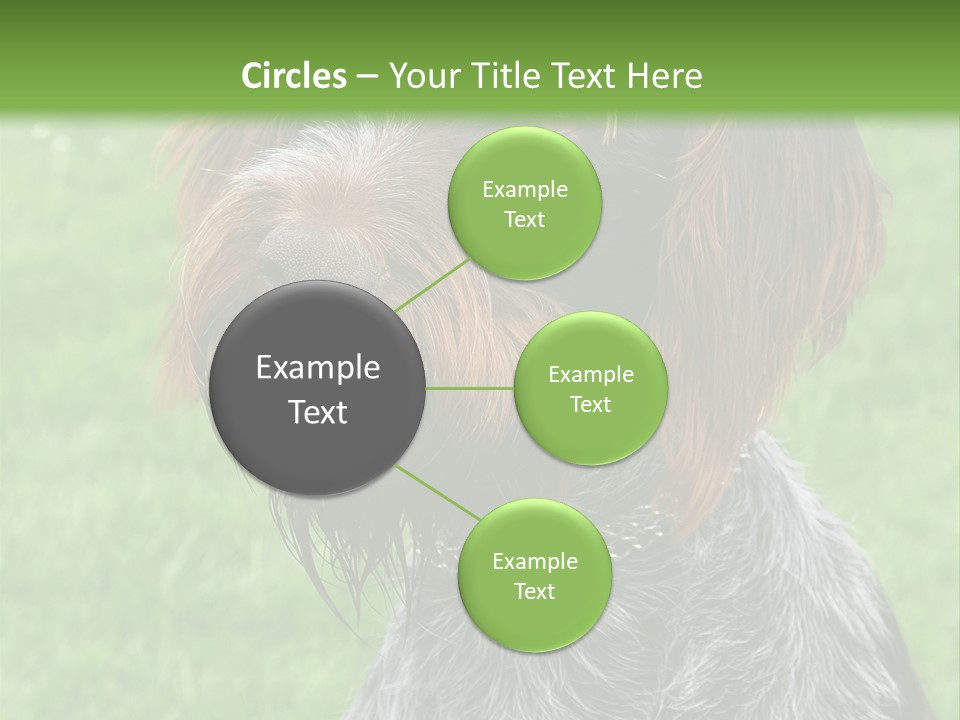 A Brown And Black Dog Sitting On Top Of A Lush Green Field PowerPoint Template