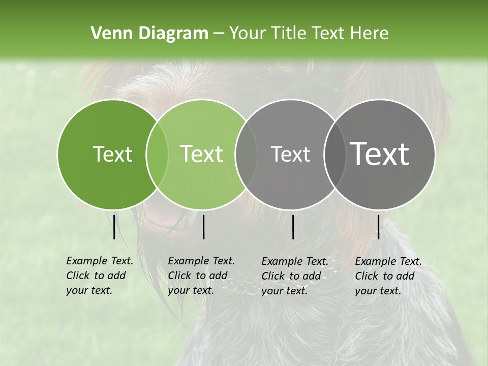 A Brown And Black Dog Sitting On Top Of A Lush Green Field PowerPoint Template