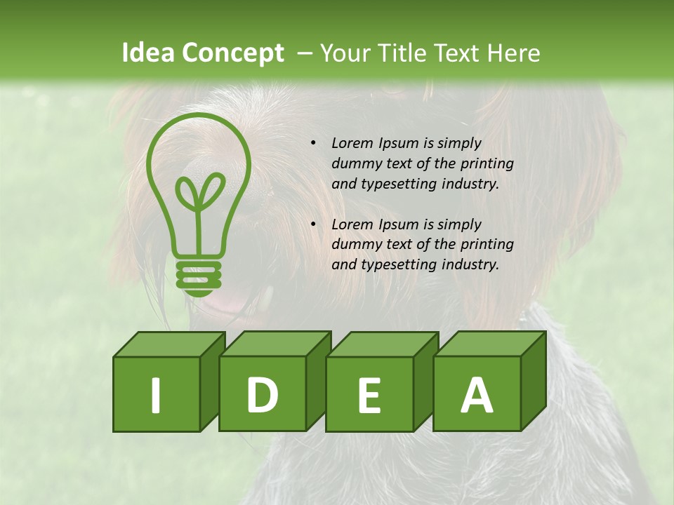 A Brown And Black Dog Sitting On Top Of A Lush Green Field PowerPoint Template