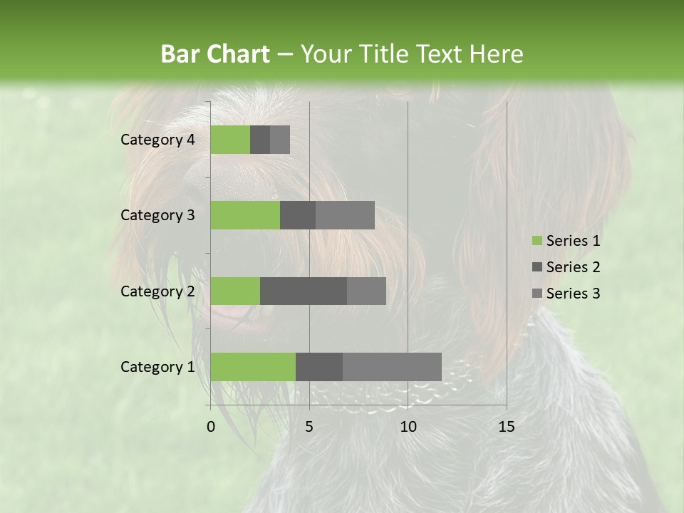 A Brown And Black Dog Sitting On Top Of A Lush Green Field PowerPoint Template