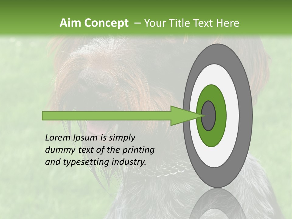 A Brown And Black Dog Sitting On Top Of A Lush Green Field PowerPoint Template