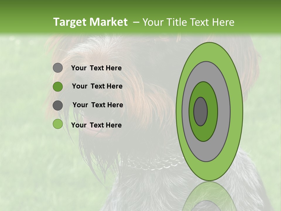 A Brown And Black Dog Sitting On Top Of A Lush Green Field PowerPoint Template
