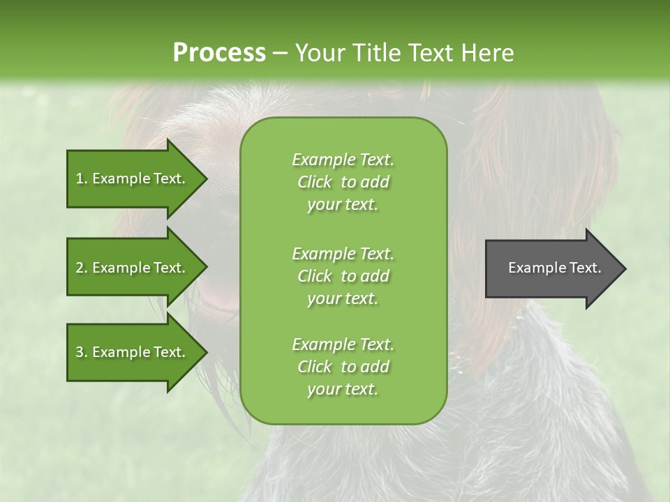 A Brown And Black Dog Sitting On Top Of A Lush Green Field PowerPoint Template