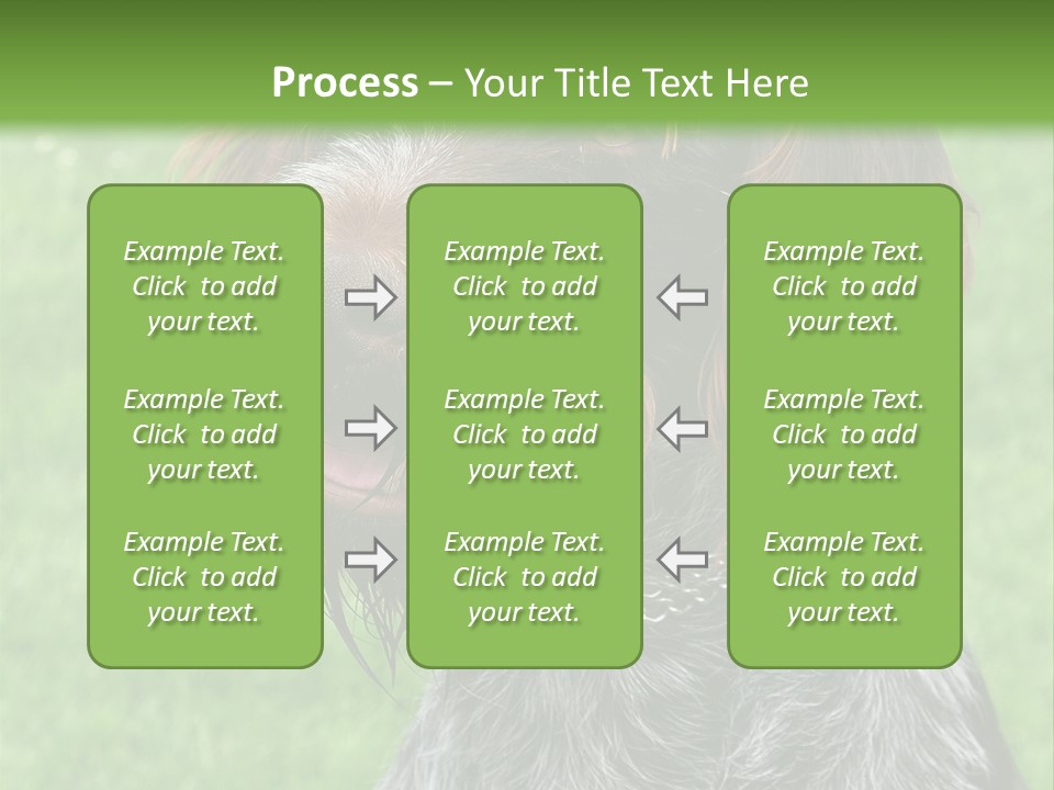 A Brown And Black Dog Sitting On Top Of A Lush Green Field PowerPoint Template