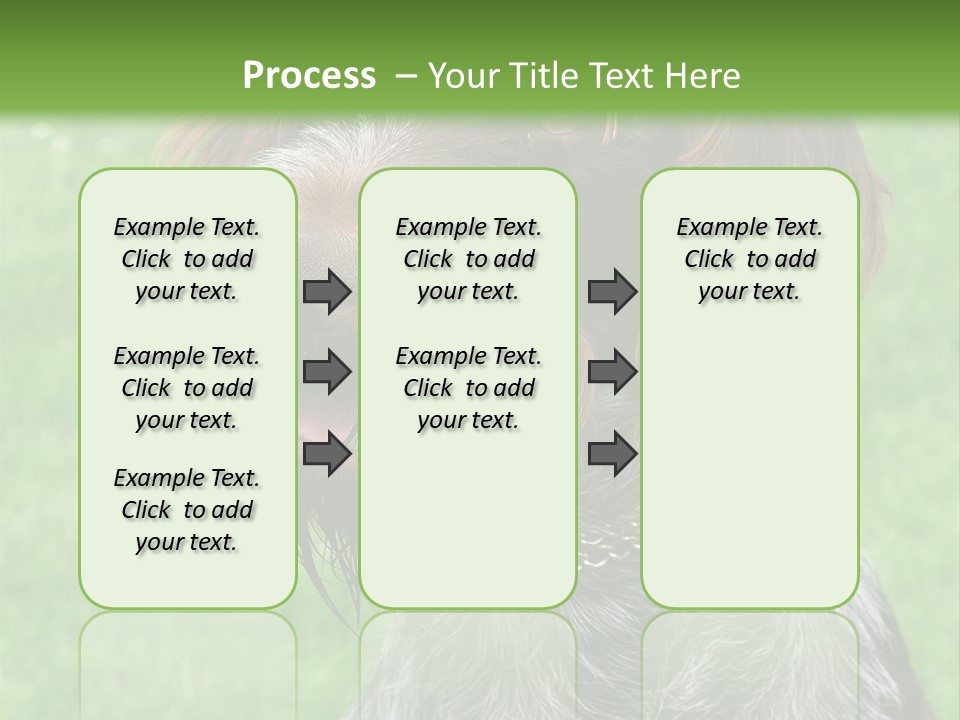 A Brown And Black Dog Sitting On Top Of A Lush Green Field PowerPoint Template