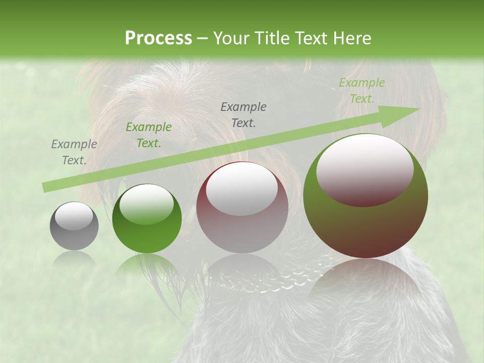A Brown And Black Dog Sitting On Top Of A Lush Green Field PowerPoint Template