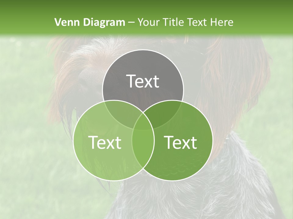 A Brown And Black Dog Sitting On Top Of A Lush Green Field PowerPoint Template