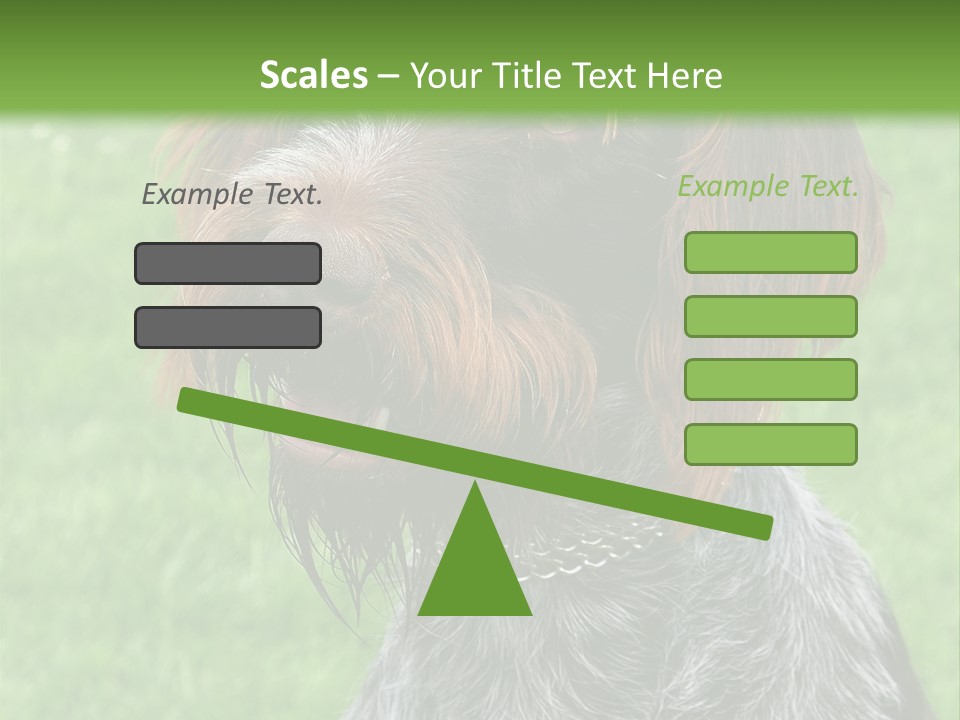 A Brown And Black Dog Sitting On Top Of A Lush Green Field PowerPoint Template