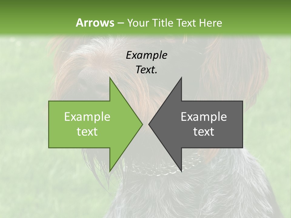 A Brown And Black Dog Sitting On Top Of A Lush Green Field PowerPoint Template