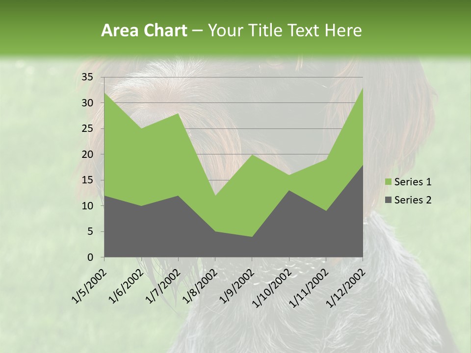 A Brown And Black Dog Sitting On Top Of A Lush Green Field PowerPoint Template