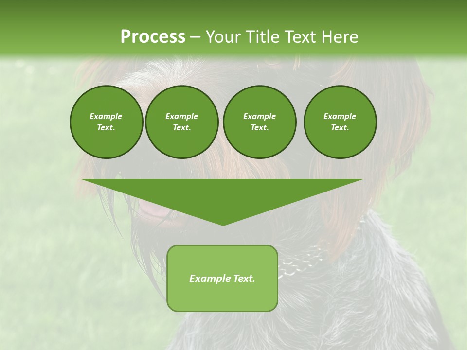 A Brown And Black Dog Sitting On Top Of A Lush Green Field PowerPoint Template