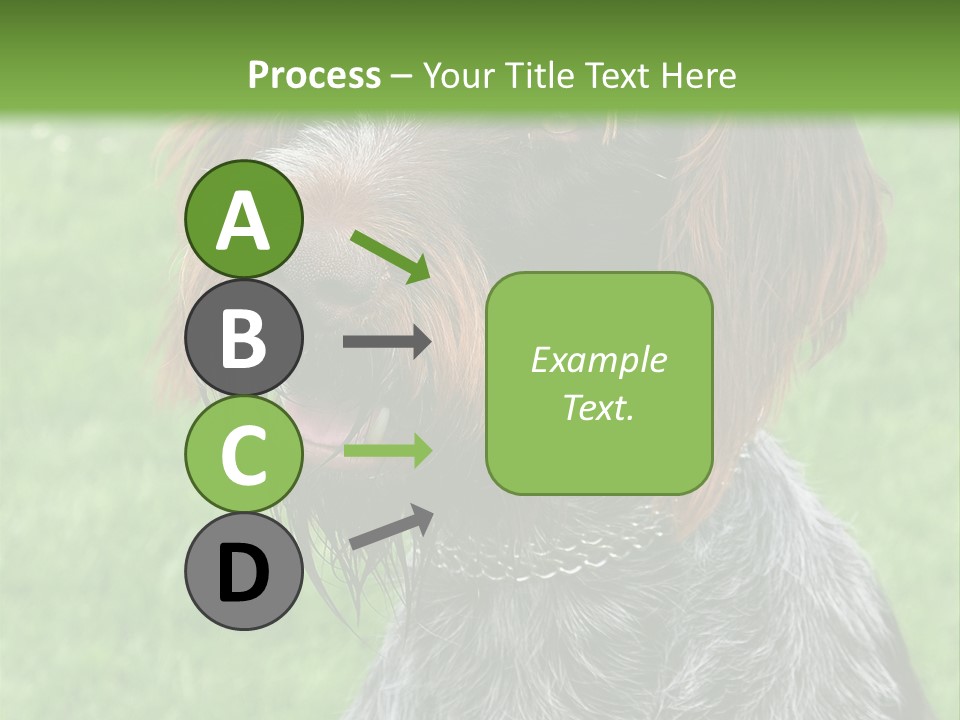A Brown And Black Dog Sitting On Top Of A Lush Green Field PowerPoint Template
