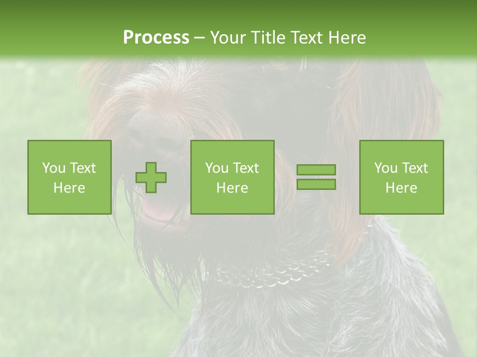 A Brown And Black Dog Sitting On Top Of A Lush Green Field PowerPoint Template