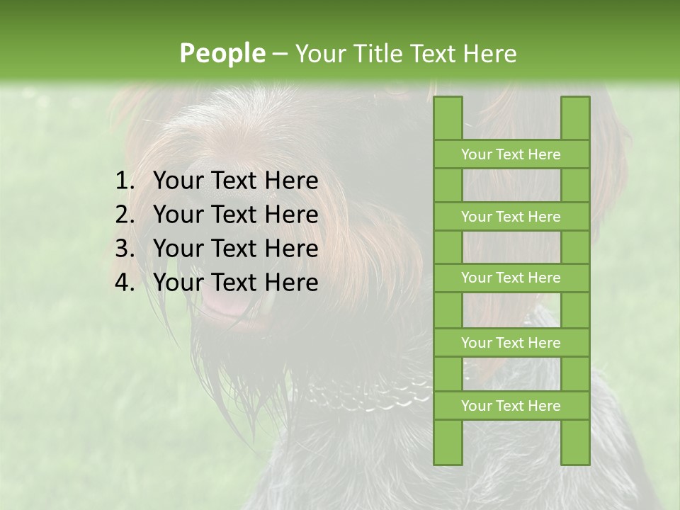 A Brown And Black Dog Sitting On Top Of A Lush Green Field PowerPoint Template