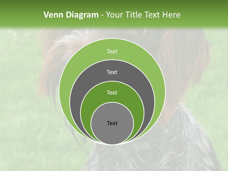 A Brown And Black Dog Sitting On Top Of A Lush Green Field PowerPoint Template
