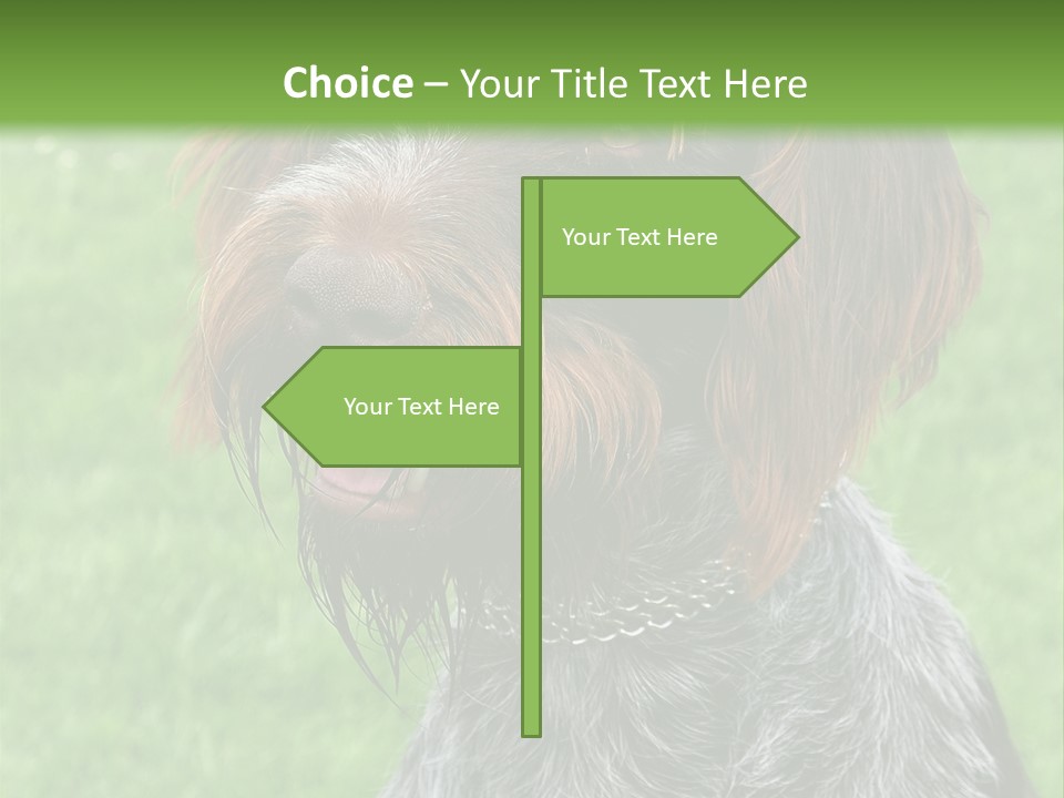 A Brown And Black Dog Sitting On Top Of A Lush Green Field PowerPoint Template