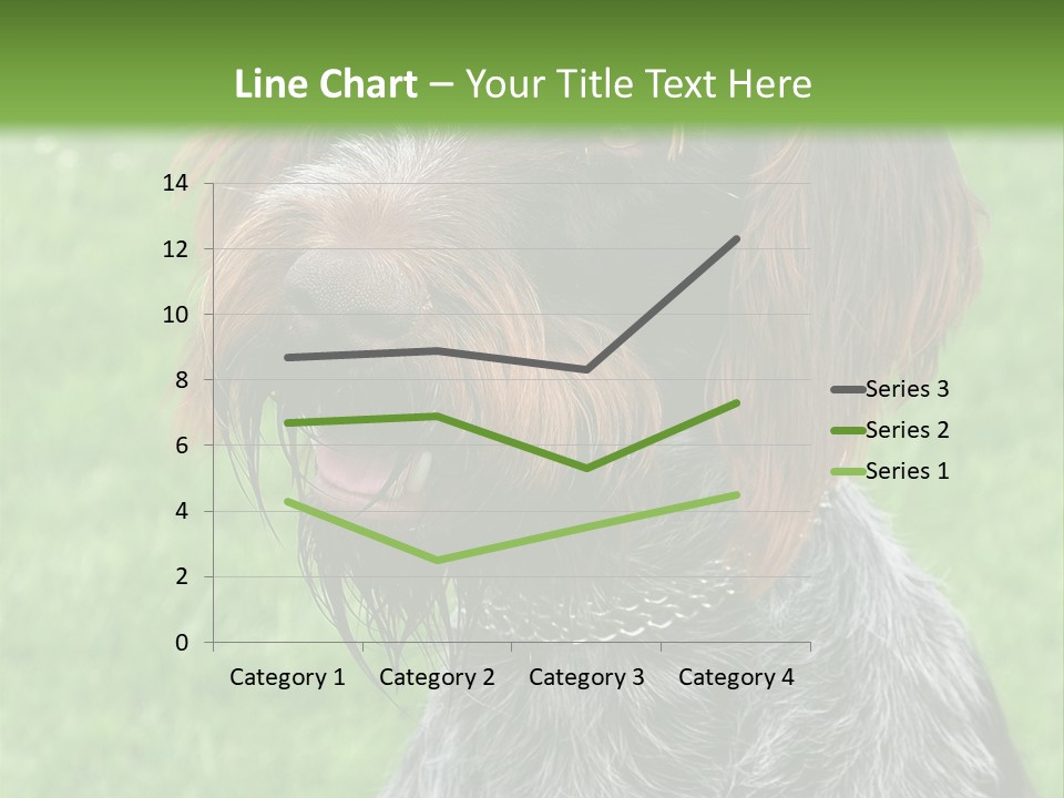 A Brown And Black Dog Sitting On Top Of A Lush Green Field PowerPoint Template