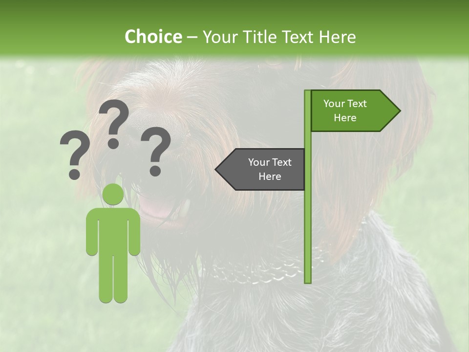 A Brown And Black Dog Sitting On Top Of A Lush Green Field PowerPoint Template