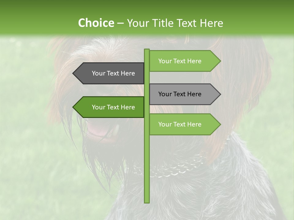 A Brown And Black Dog Sitting On Top Of A Lush Green Field PowerPoint Template