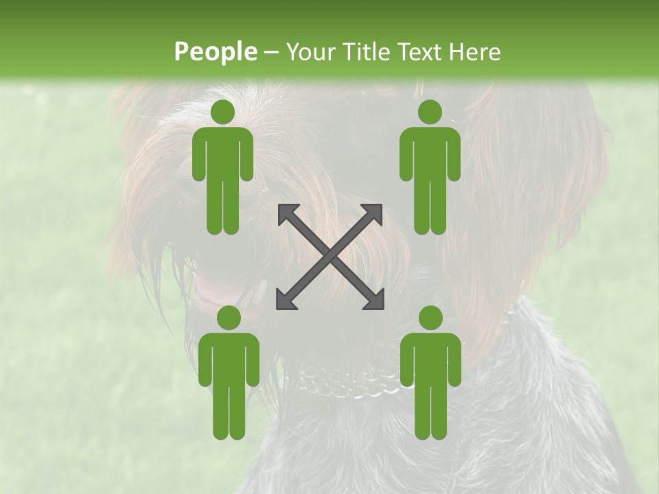 A Brown And Black Dog Sitting On Top Of A Lush Green Field PowerPoint Template