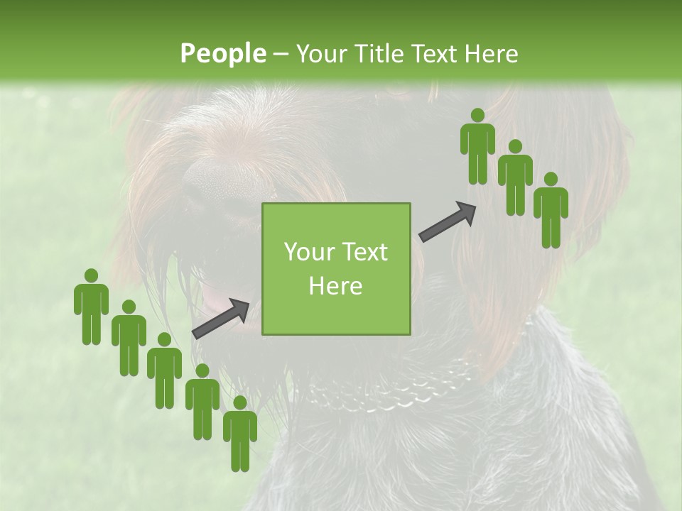 A Brown And Black Dog Sitting On Top Of A Lush Green Field PowerPoint Template