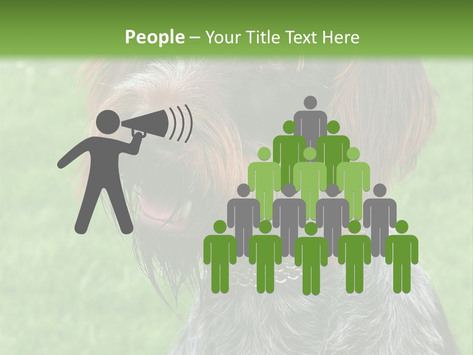 A Brown And Black Dog Sitting On Top Of A Lush Green Field PowerPoint Template