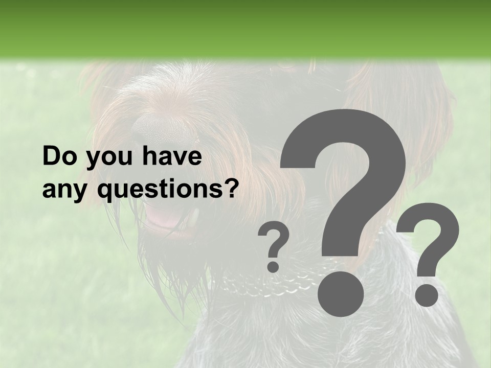 A Brown And Black Dog Sitting On Top Of A Lush Green Field PowerPoint Template