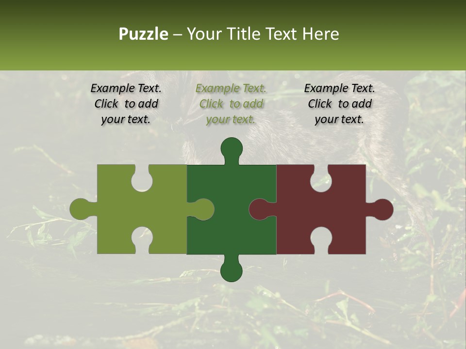 A Dog Standing In A Body Of Water PowerPoint Template