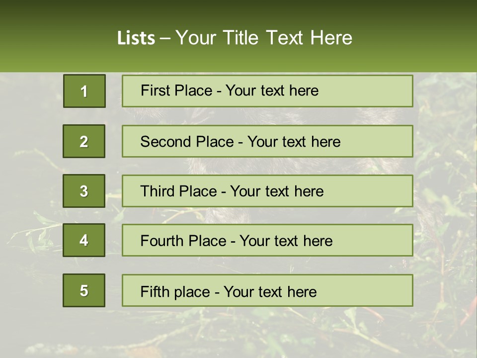 A Dog Standing In A Body Of Water PowerPoint Template