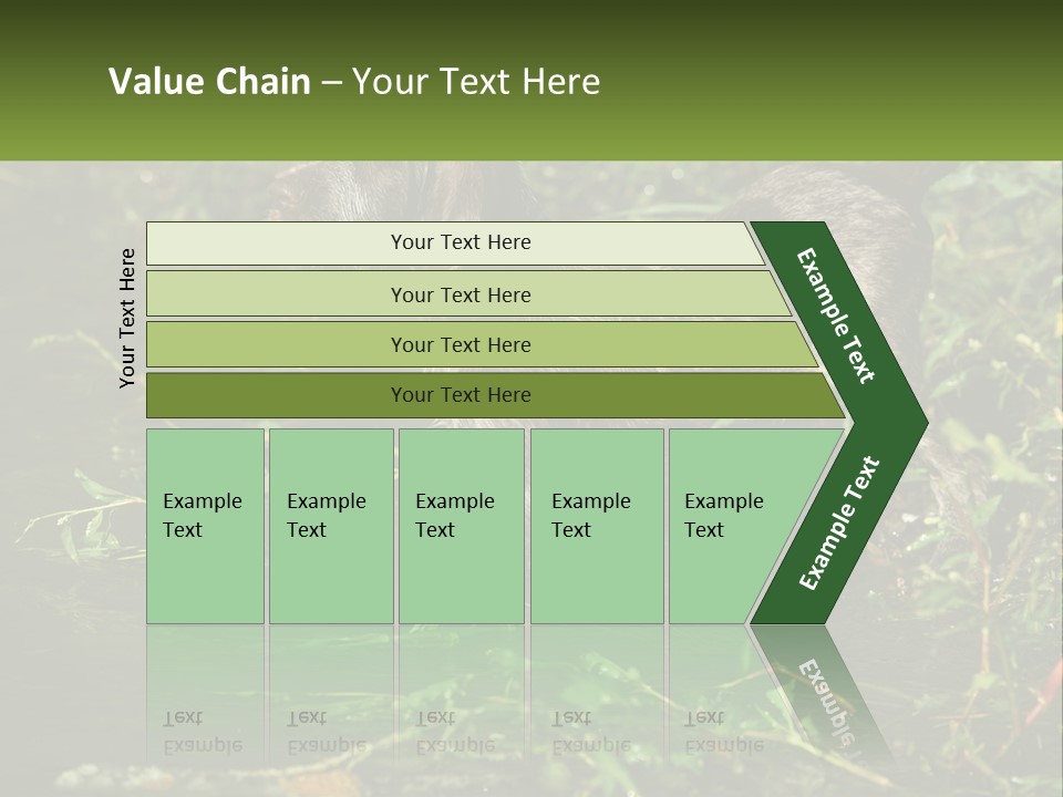 A Dog Standing In A Body Of Water PowerPoint Template