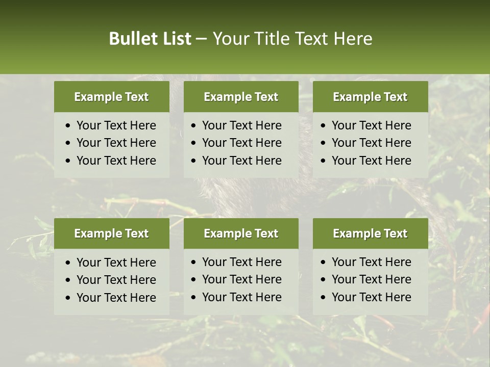 A Dog Standing In A Body Of Water PowerPoint Template