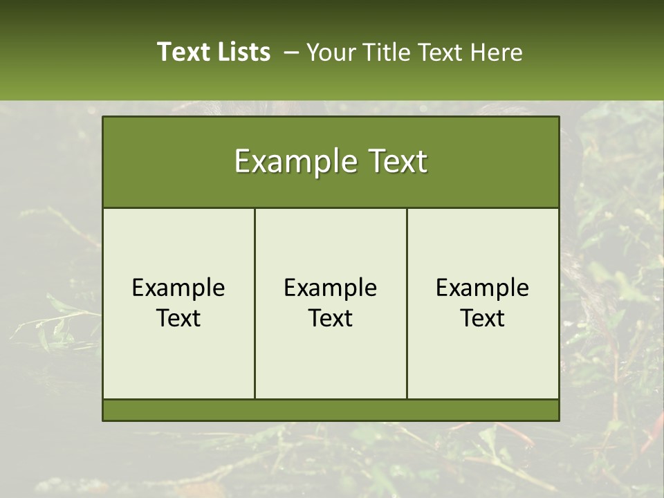 A Dog Standing In A Body Of Water PowerPoint Template