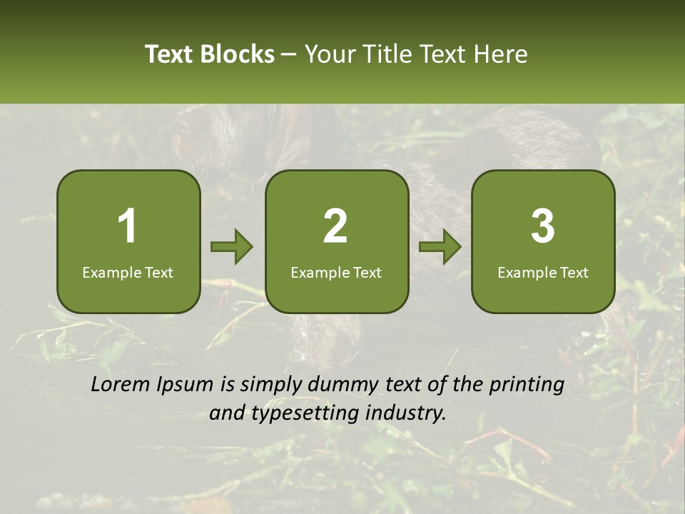 A Dog Standing In A Body Of Water PowerPoint Template