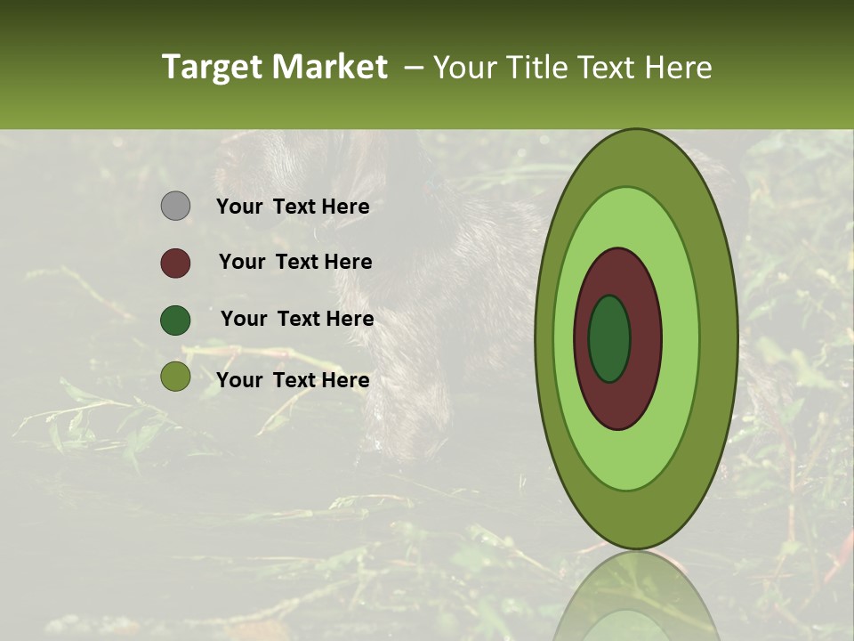 A Dog Standing In A Body Of Water PowerPoint Template