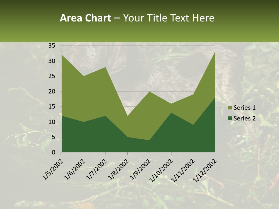 A Dog Standing In A Body Of Water PowerPoint Template