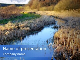 A River In The Middle Of A Grassy Field PowerPoint Template