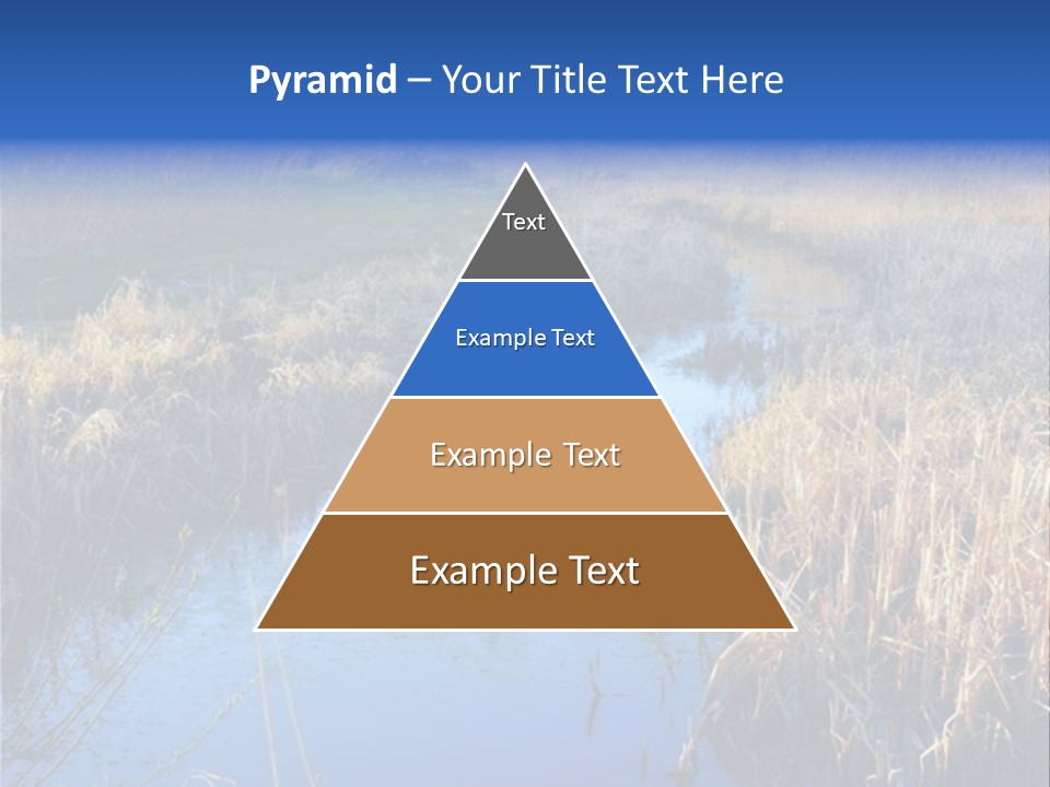 A River In The Middle Of A Grassy Field PowerPoint Template