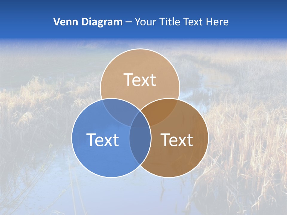 A River In The Middle Of A Grassy Field PowerPoint Template