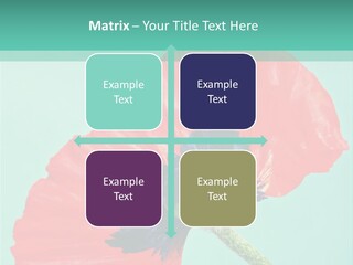 A Red Flower On A Blue Background With A Green Border PowerPoint Template