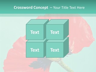 A Red Flower On A Blue Background With A Green Border PowerPoint Template