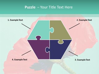 A Red Flower On A Blue Background With A Green Border PowerPoint Template