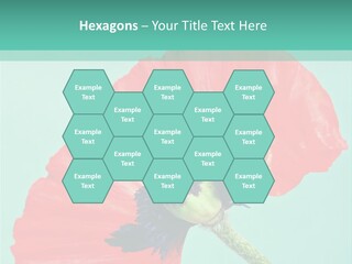 A Red Flower On A Blue Background With A Green Border PowerPoint Template