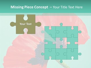 A Red Flower On A Blue Background With A Green Border PowerPoint Template