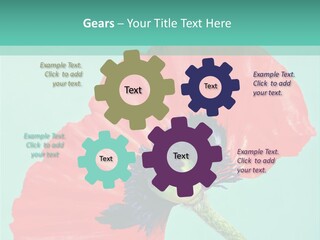 A Red Flower On A Blue Background With A Green Border PowerPoint Template