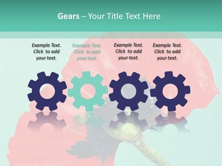 A Red Flower On A Blue Background With A Green Border PowerPoint Template