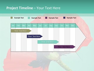 A Red Flower On A Blue Background With A Green Border PowerPoint Template