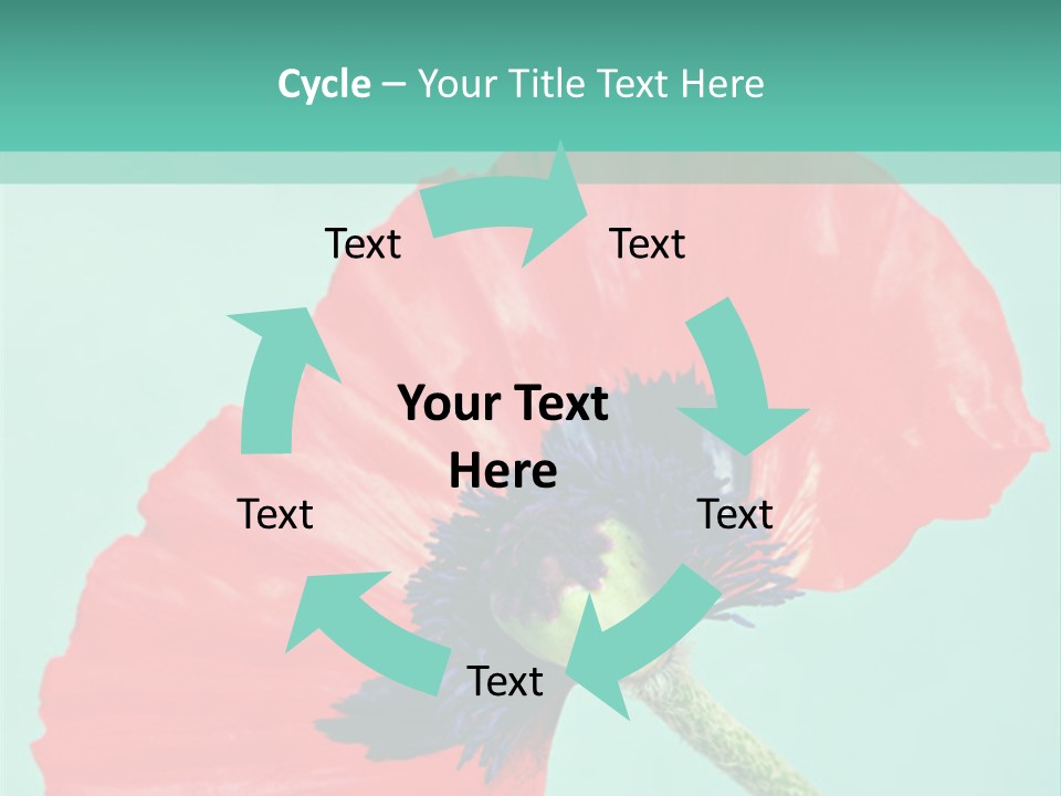 A Red Flower On A Blue Background With A Green Border PowerPoint Template