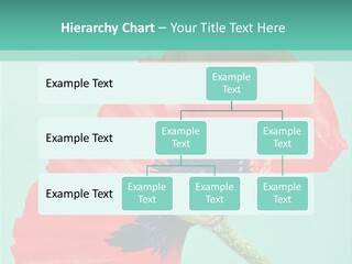 A Red Flower On A Blue Background With A Green Border PowerPoint Template