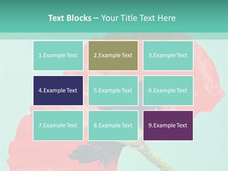 A Red Flower On A Blue Background With A Green Border PowerPoint Template