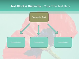 A Red Flower On A Blue Background With A Green Border PowerPoint Template